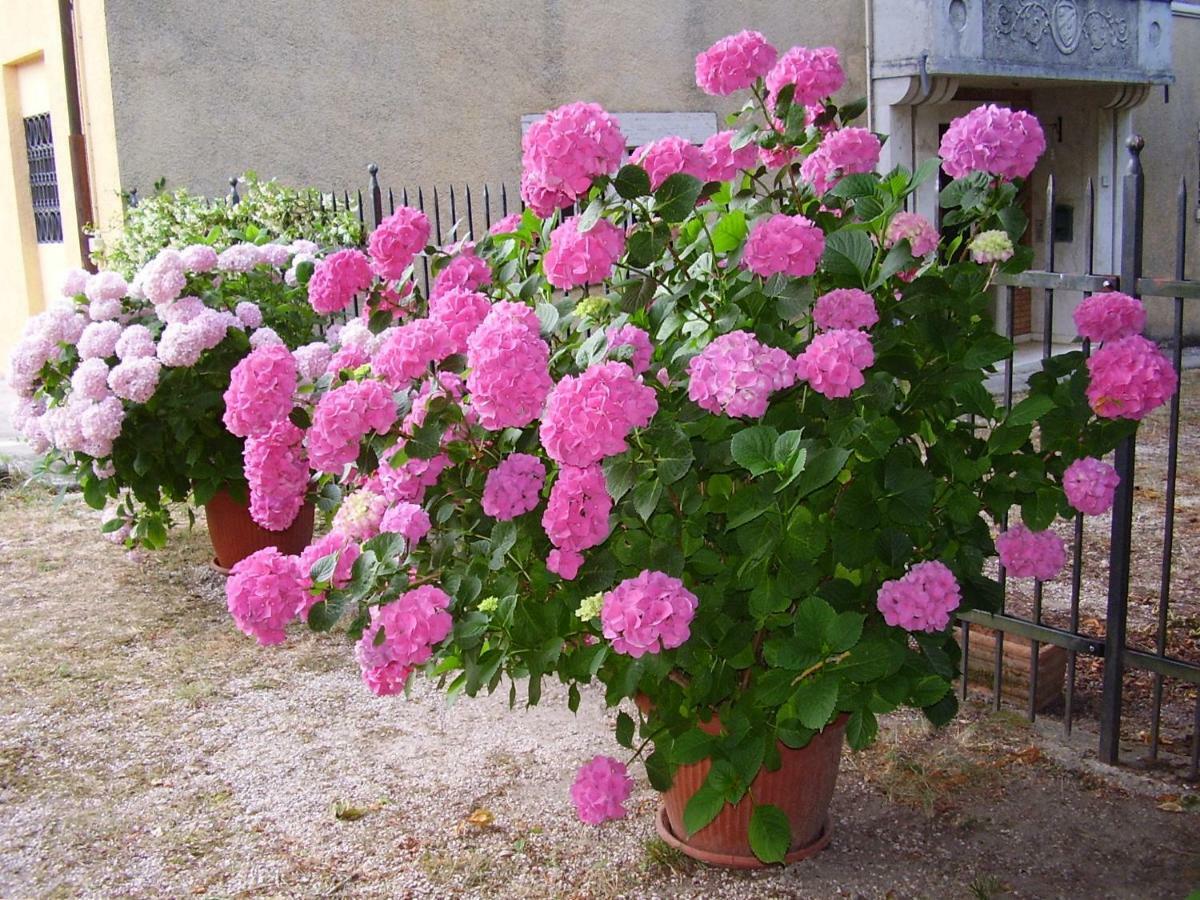 Agriturismo Dea Valfabbrica 外观 照片